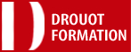 Drouot Formation