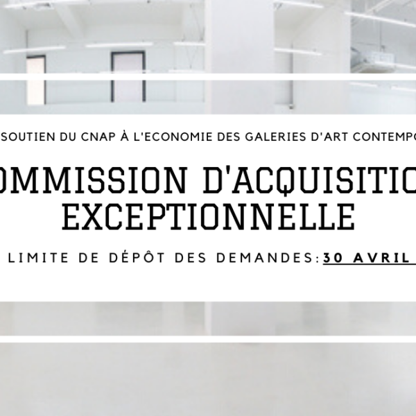 Commission d&rsquo;acquisition exceptionnelle &#8211; CNAP